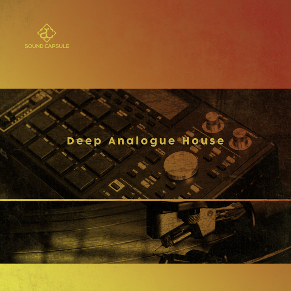 Image de Deep Analogue House